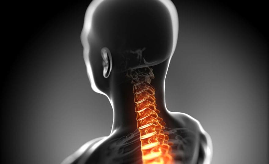 El Paso Neck Chiropractor: Spinal Cord Damage & Injury - El Paso Chiropractor