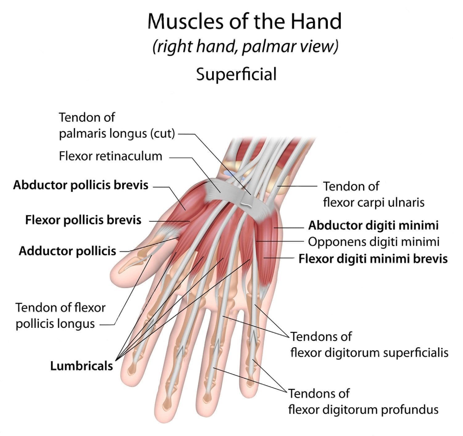 trigger finger injury chiropractic care el paso tx.