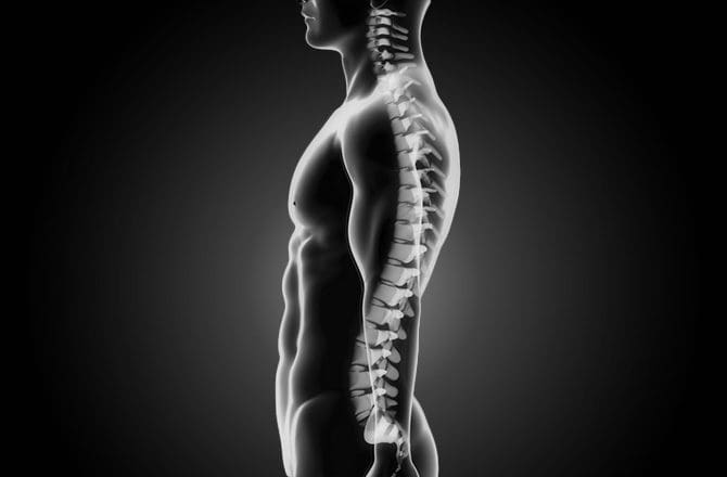 chiropractor bad posture 3d model with spine el paso tx