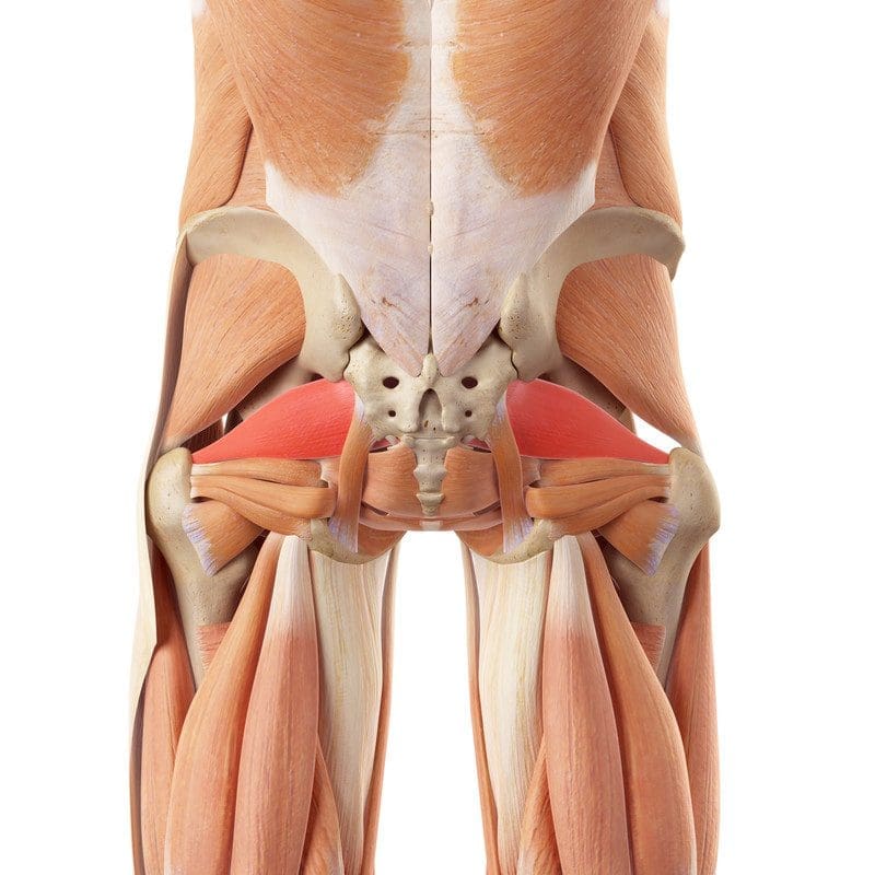 sciatica pain chiropractor el paso tx.