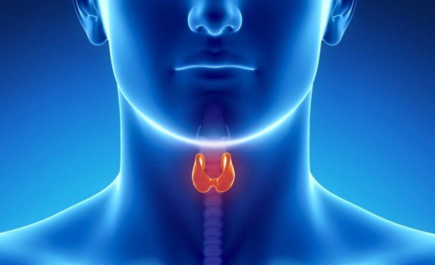 Complications of Hypothyroidism | Wellness Clinic