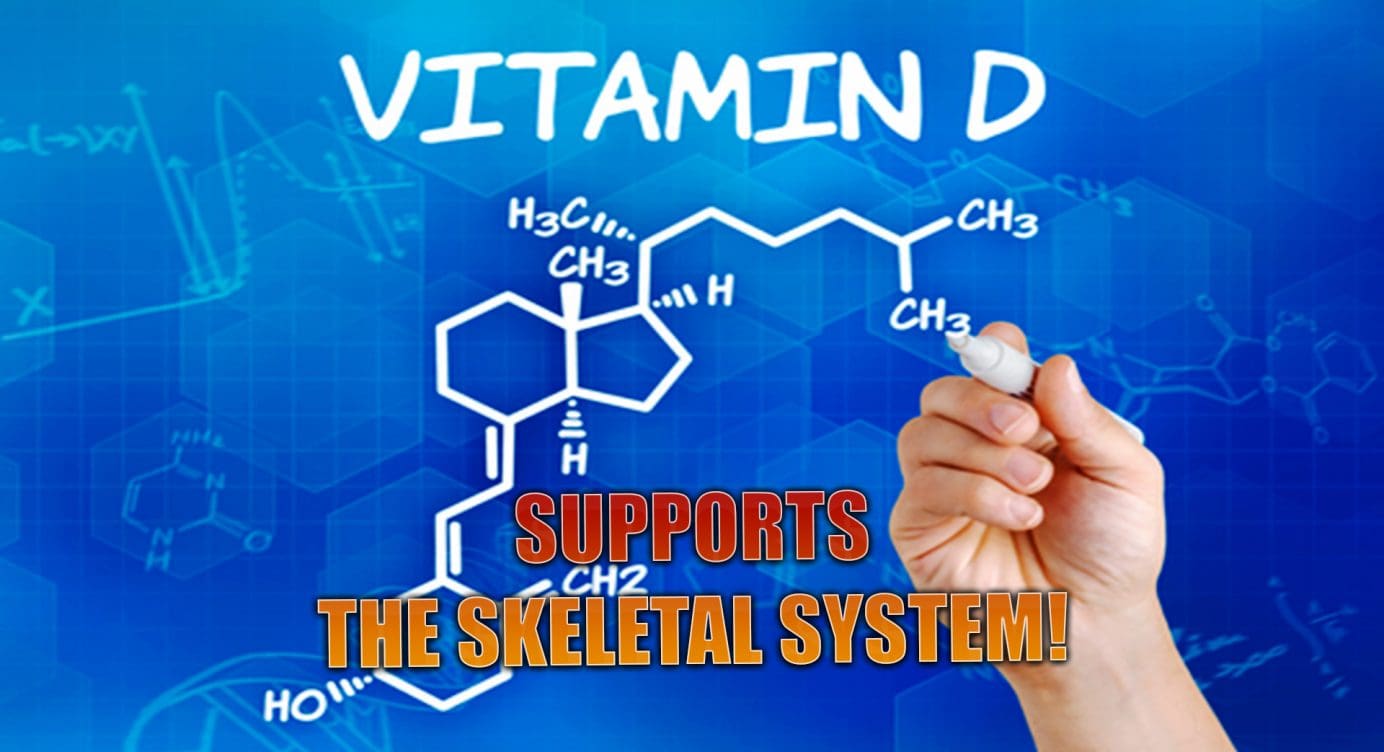 Vitamin D Supports The Skeletal System | El  Paso, TX.