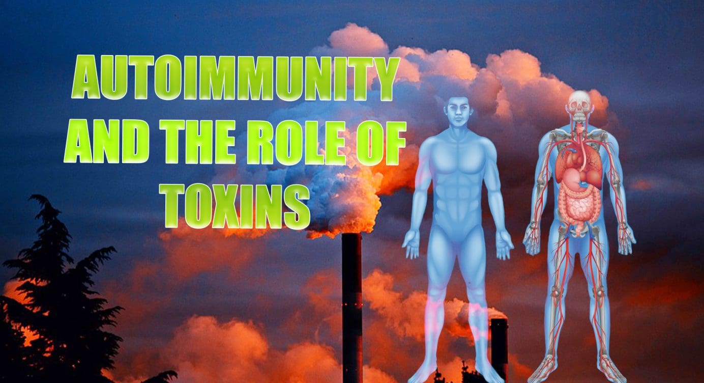 Autoimmunity And The Role Of Toxins | El Paso, TX.