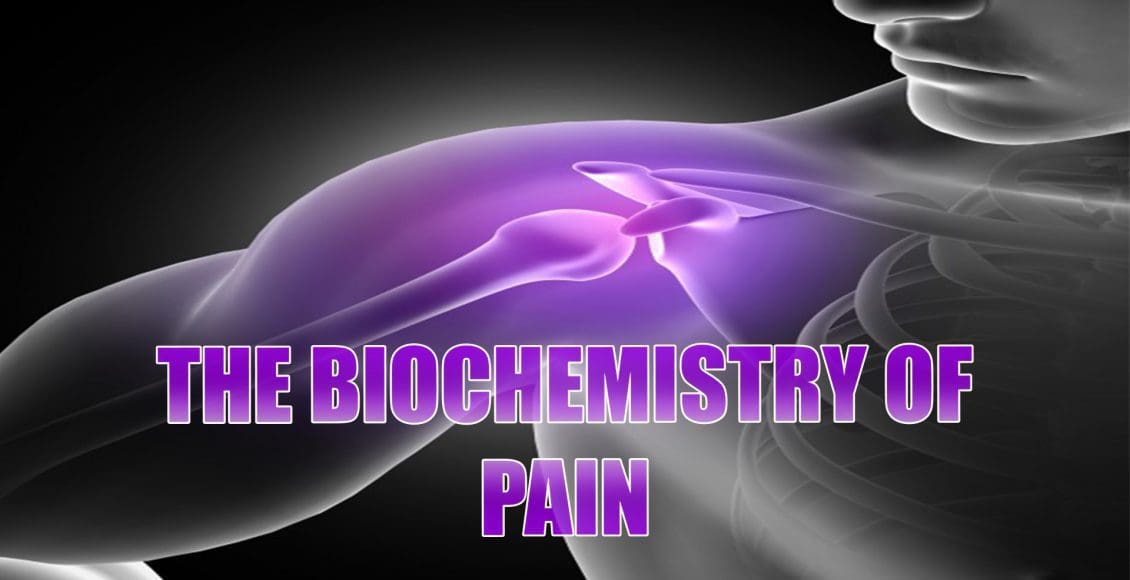 biochemistry of pain el paso tx.