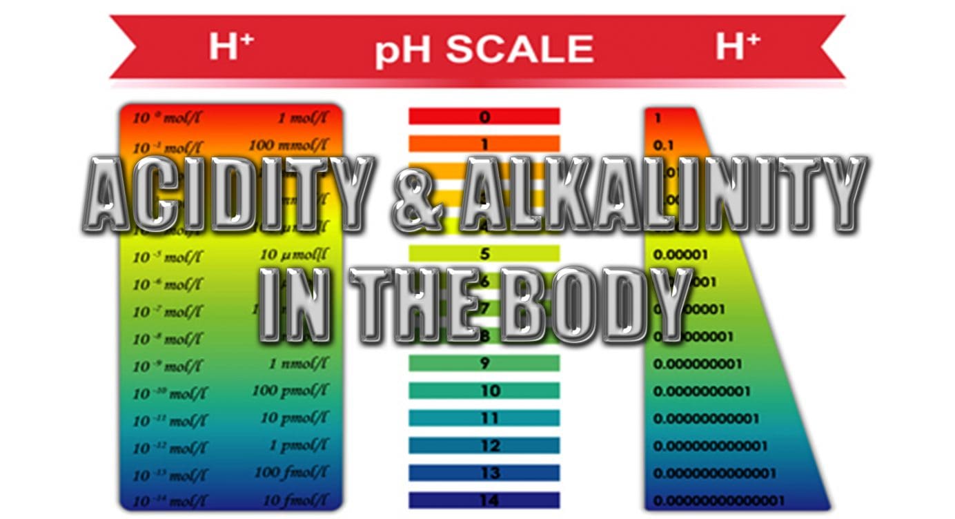Acidity And Alkalinity In The Body
