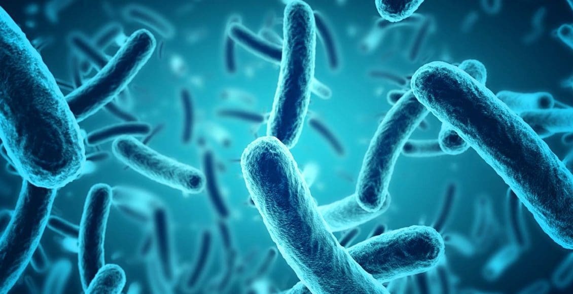 The Role Of The Microbiome In DNA Methylation | El Paso, TX Chiropractor