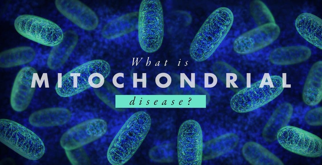 What is Mitochondrial Disease? | El Paso, TX Chiropractor