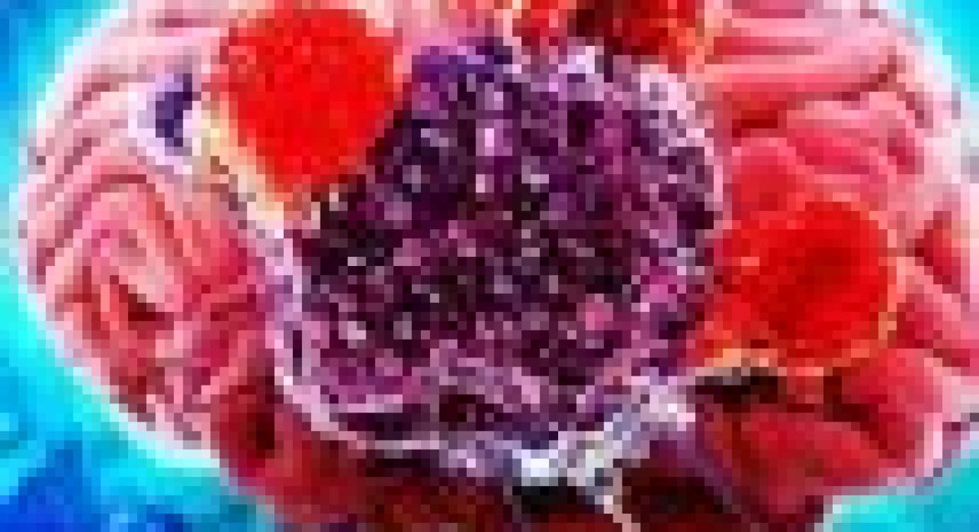 Functional Medicine – Neurological Health