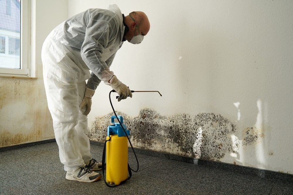 Cleaning-mold-in-the-house.jpg