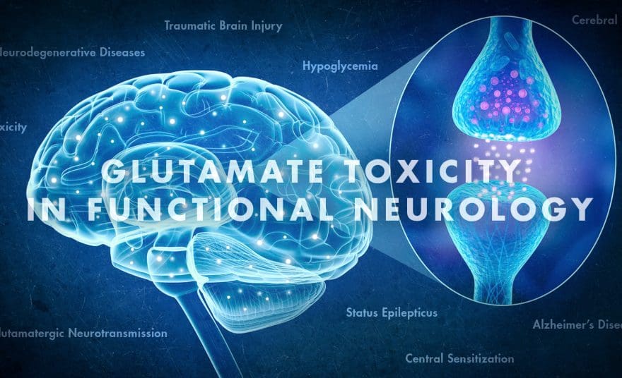 Glutamate Toxicity in Functional Neurology | El Paso, TX Chiropractor