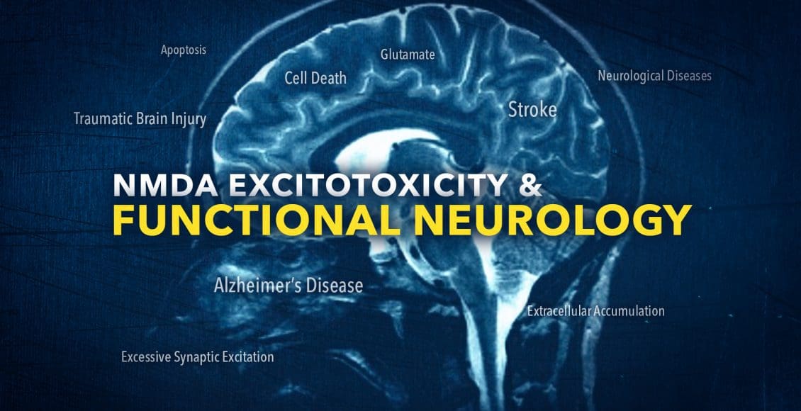 NMDA Excitotoxicity in Functional Neurology | El Paso, TX Chiropractor