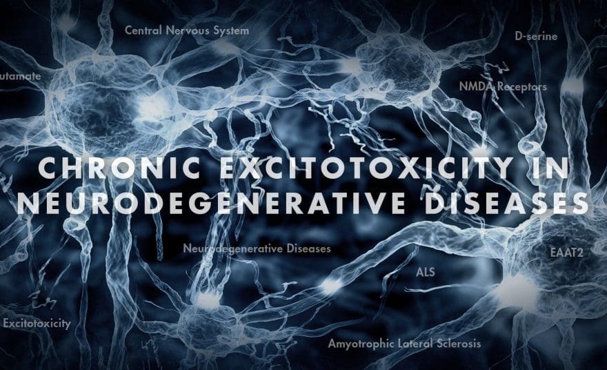 Functional Neurology: Chronic Excitotoxicity in Neurodegenerative Diseases Part 3 | El Paso, TX Chiropractor