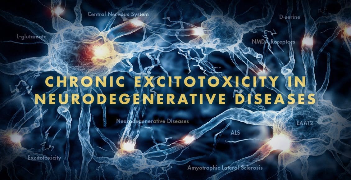 Functional Neurology: Chronic Excitotoxicity in Neurodegenerative Diseases | El Paso, TX Chiropractor