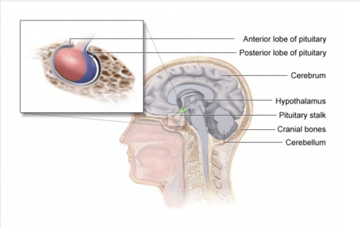 Screenshot 2019-10-08 10.16.09