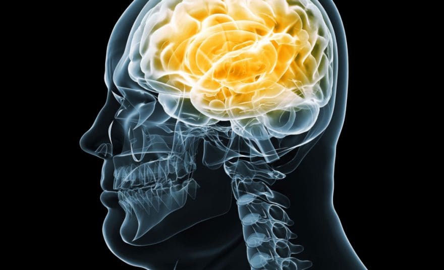 Functional Neurology: Brain Health and Obesity | El Paso, TX Chiropractor