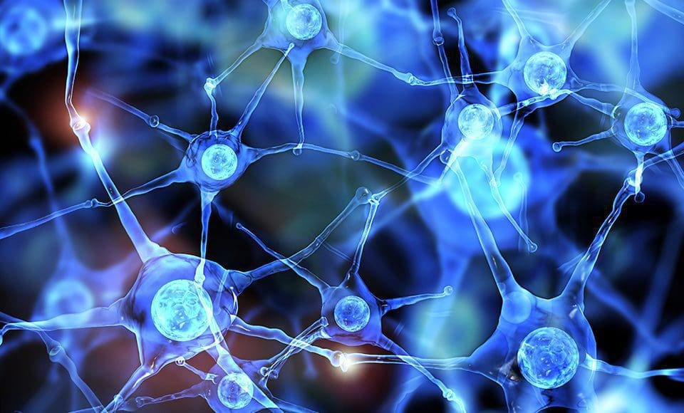 Functional Neurology: Differences Between Dopamine and Serotonin | El Paso, TX Chiropractor