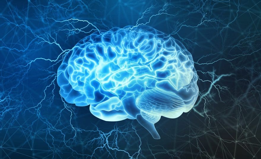 Functional Neurology: Dopamine and Brain Health | El Paso, TX Chiropractor