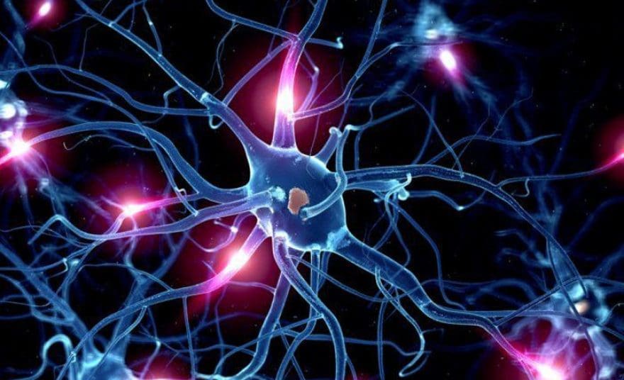 Functional Neurology: Serotonin and Brain Health | El Paso, TX Chiropractor