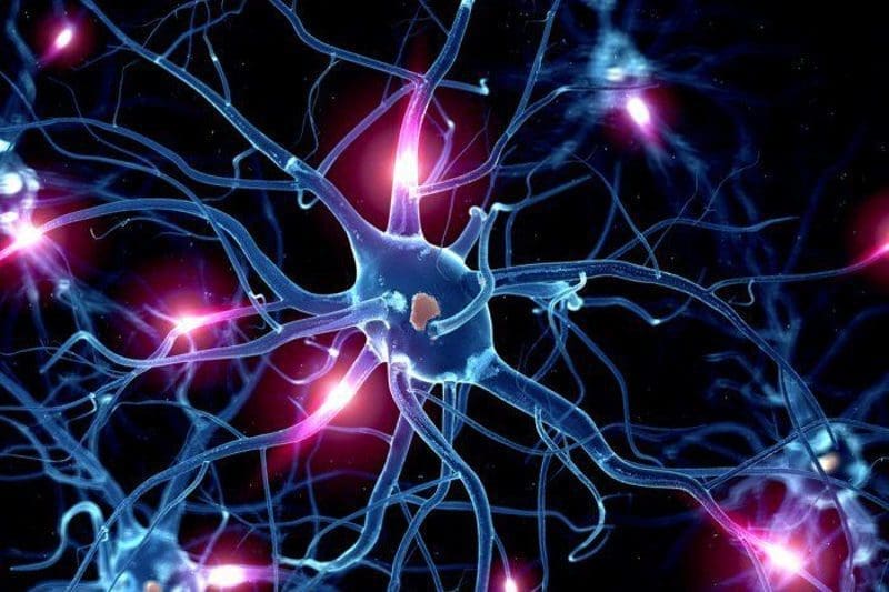 Functional Neurology: Serotonin and Brain Health | El Paso, TX Chiropractor