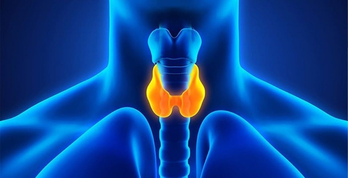 Functional Neurology: What is Hypothyroidism? | El Paso, TX Chiropractor