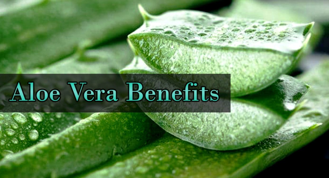 The Amazing Benefits That Aloe Vera Has