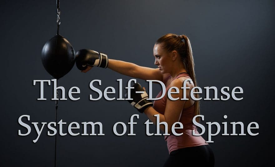 11860 Vista Del Sol, Ste. 128 The Self-Defense System of The Spine El Paso, Texas