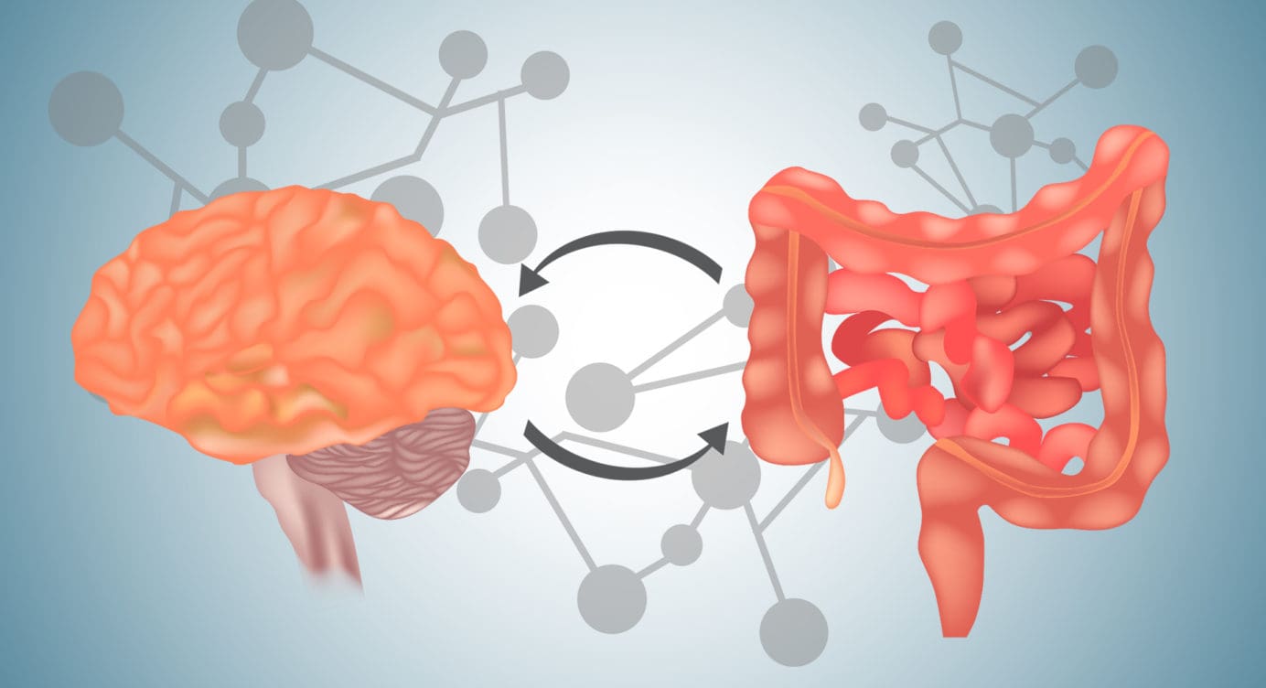 A Focused Look On The Gut-Brain Axis | Part 1