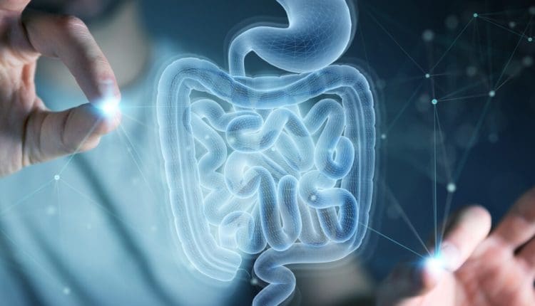 Gut Microbiome Injury Recovery: A Key to Healing