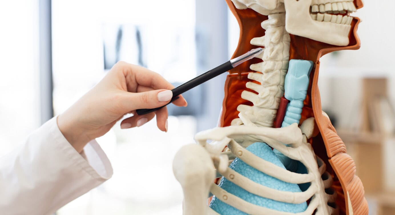 Musculoskeletal Ligaments: Risks from Auto Accidents